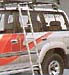 Wagon ladder
