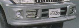 Front bumper protector