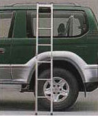 Wagon ladder