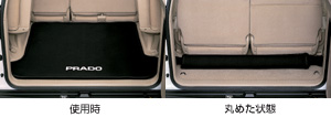 Luggage software tray