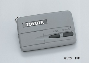 Key free system (driver's seat add-on back door)