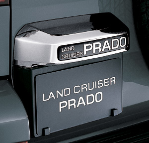 License cover (plating)