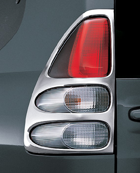 Rear combination guard