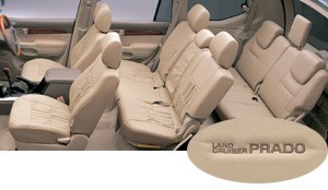 Leather pitch seat cover
