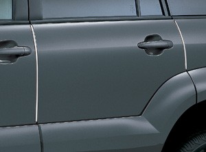 Door edge protector (stainless steel make 1 units set)