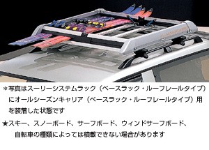 surishisutemuratsuku (all season carrier)