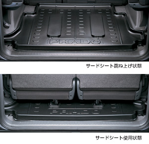 Luggage tray