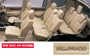 Leather pitch seat cover