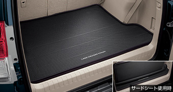 Luggage software tray
