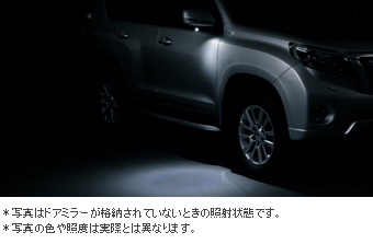 Well cam write set well cam light/write (driver's seat suicide seat) (door mirror cover driver's seat) (door mirror cover suicide seat) (door mirror lower cover RH) (door mirror lower cover LH)