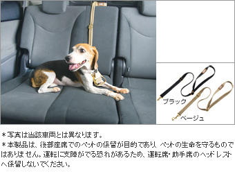 w tsudoresuto mooring lead/read cord/code (black/beige)