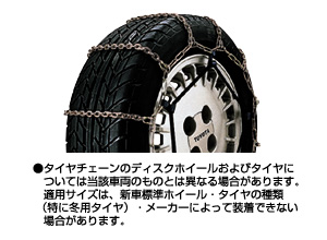 Steel chain (resin case entering)
