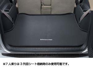 Luggage software tray