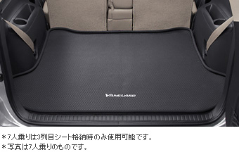 Luggage software tray