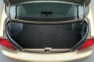 Trunk mat