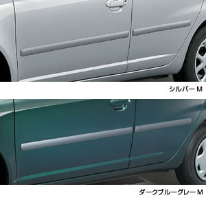 Side protection mall (body type)