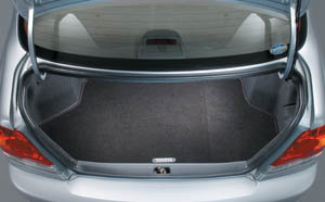 Trunk mat (carpet type)