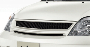 Sport grill