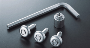 Lock volt/bolt (for license plate)