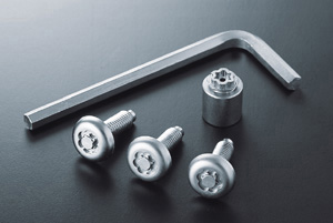 Lock volt/bolt (for license plate)