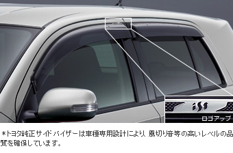 Side visor (RV type)