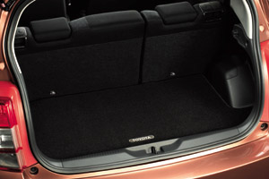 Trunk mat (carpet type)