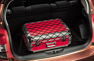 Luggage net