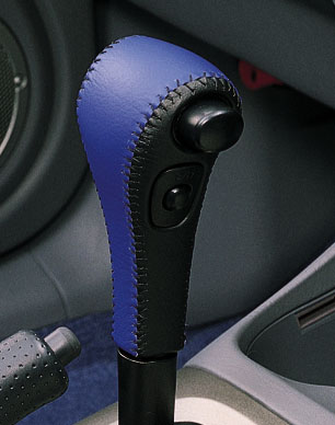 Shifter knob