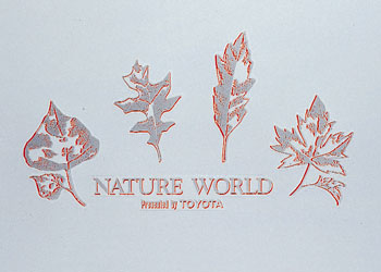 Accent sticker