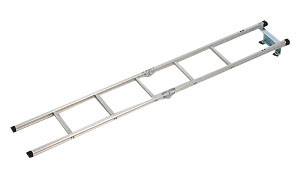 Wagon ladder