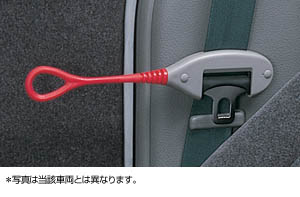 Seat belt support