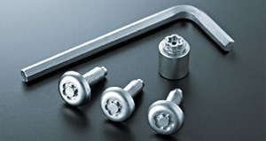 Lock volt/bolt (for license plate)