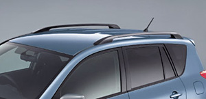 Roof rail (DOP)