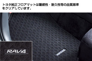 Floor mat (BASIC)