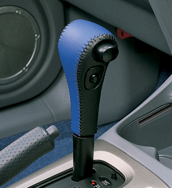Shifter knob