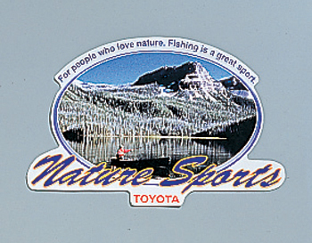 Accent sticker