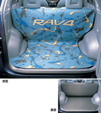 Reversible luggage mat