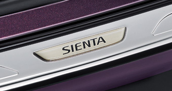 Rear bumper step guard