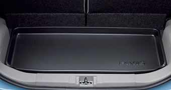 Luggage tray