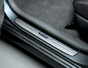 Scuff plate (stainless steel)