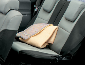 Blanket cushion