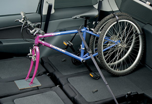 Cycle hold belt