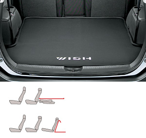Luggage software tray