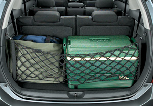 Luggage net