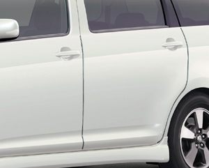 Door edge protector (stainless steel make 1 units set)