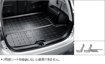Luggage tray