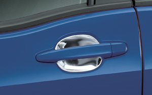 Door steering wheel escutcheon (plating)