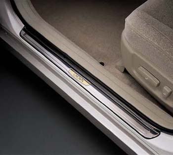 Scuff plate (stainless steel)