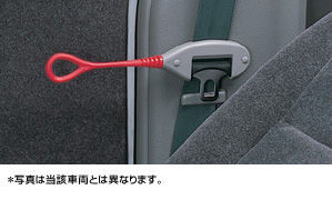 Seat belt support