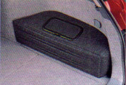 Trunk side case